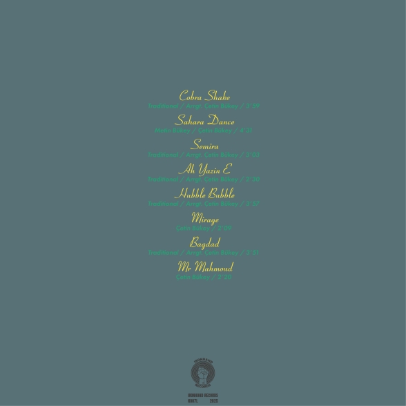 Chettini And The Turkish Trio: Oriental Soul - Plak Foto #2