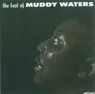 Muddy Waters: The Best Of Muddy Waters - Plak
