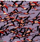 Deftones: Gore - Plak Foto #1