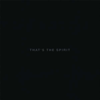 Bring Me The Horizon: That's The Spirit - Plak