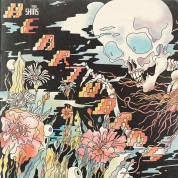 The Shins: Heartworms - Plak