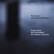Trygve Seim, Per Oddvar Johansen, Oyvind Braekke: The Source and Different Cikadas - CD