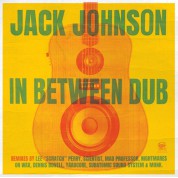 Jack Johnson: In Between Dub - Plak