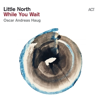 Little North: While You Wait - Plak