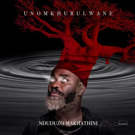 Nduduzo Makhathini: uNomkhubulwane - Plak