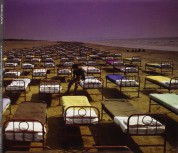 Pink Floyd: A Momentary Lapse Of Reason (Discovery Album) - CD