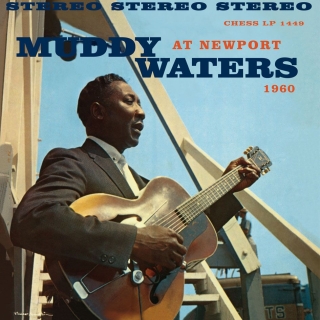 Muddy Waters At Newport - Plak