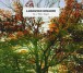 Ludovico Einaudi: Einaudi: In A Time Lapse (Deluxe Edition) - CD