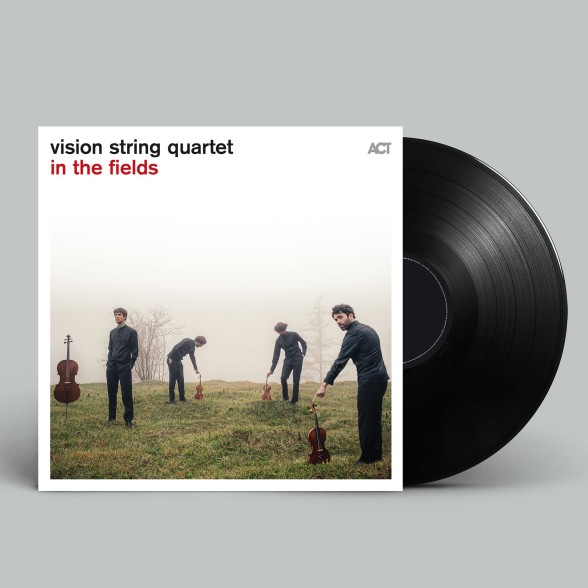 Vision String Quartet - In the Fields