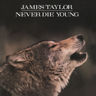 James Taylor: Never Die Young - Plak