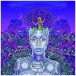 New Amerykah Part Two - CD