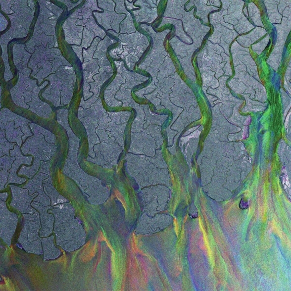 Alt-J: An Awesome Wave (White Vinyl) - Plak Foto #1