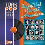 Çeşitli Sanatçılar: Türk Pop Müzik Tarihi 1960-70'lı Yıllar Vol.1 - Plak