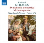 Antoni Wit: Strauss, R.: Symphonia Domestica / Metamorphosen - CD