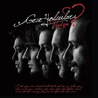 Gece Yolcuları: Neden? - Plak