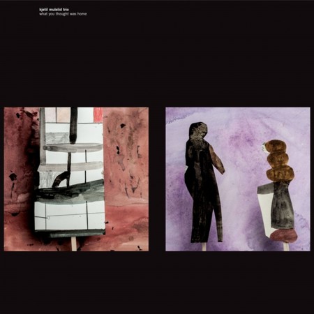 Kjetil Mulelid: What You Thought Was Home (Limited-Edition) - Plak