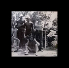 The Carla Bley Band: European Tour 1977 - Plak Foto #4