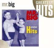 Mr. Big: Greatest Hits 17 Track - CD