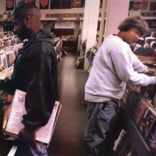 Dj Shadow: Endtroducing ... - Plak