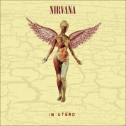 Nirvana: In Utero (30th Anniversary - Super Deluxe Edition) - CD
