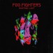 Wasting Light - CD