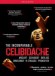 Celibadache Edition - DVD