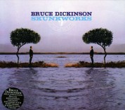 Bruce Dickinson: Skunkworks - CD
