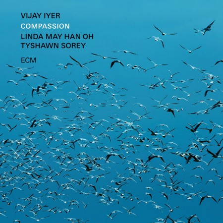Vijay Iyer: Compassion - CD