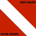 Diver Down (Remastered) - Plak