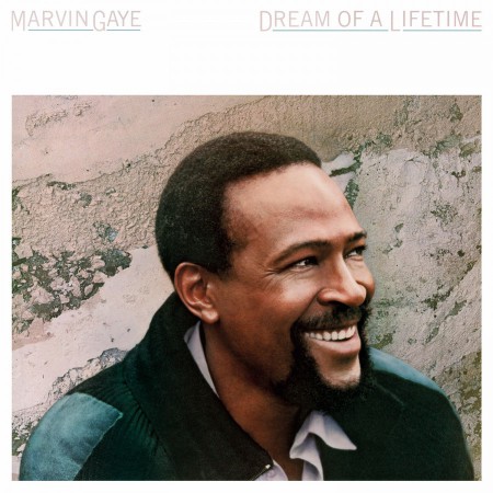Marvin Gaye: Dream Of A Lifetime (Transparent Blue Vinyl) - Plak