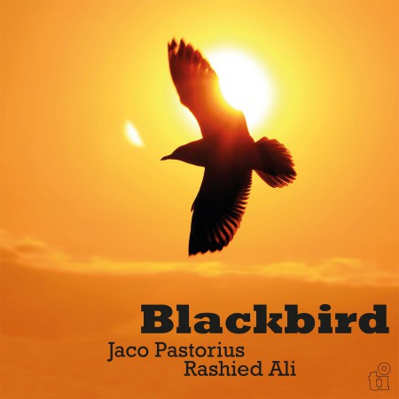 Jaco Pastorius, Rashid Ali: Blackbird (Limited Numbered Edition - Translucent Yellow Vinyl) - Plak