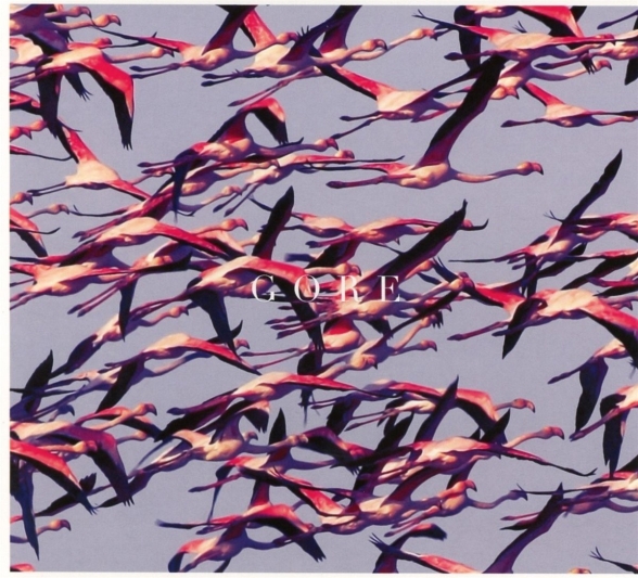 Deftones: Gore - CD Foto #1