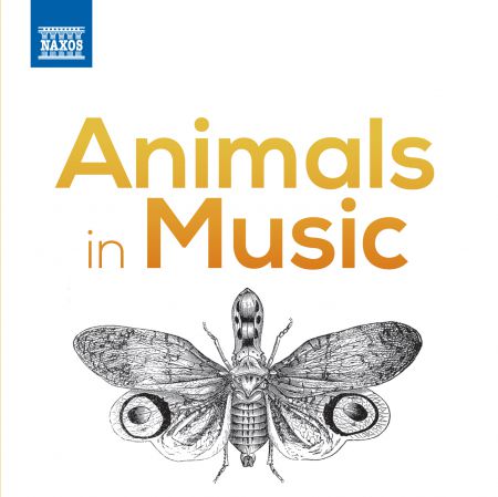 Çeşitli Sanatçılar: Animals in Music - CD
