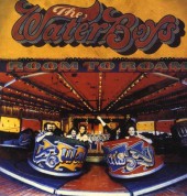 The Waterboys: Room To Roam (Remastered) - Plak