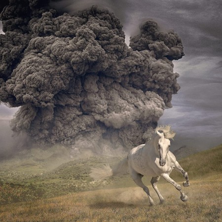 The White Buffalo: Year Of The Dark Horse - CD