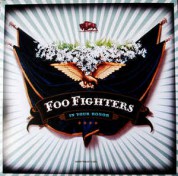 Foo Fighters: In Your Honor - Plak