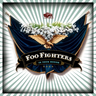 Foo Fighters: In Your Honor - Plak