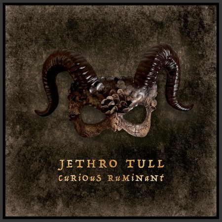 Jethro Tull: Curious Ruminant - Plak