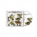 Birdly Serenade - CD