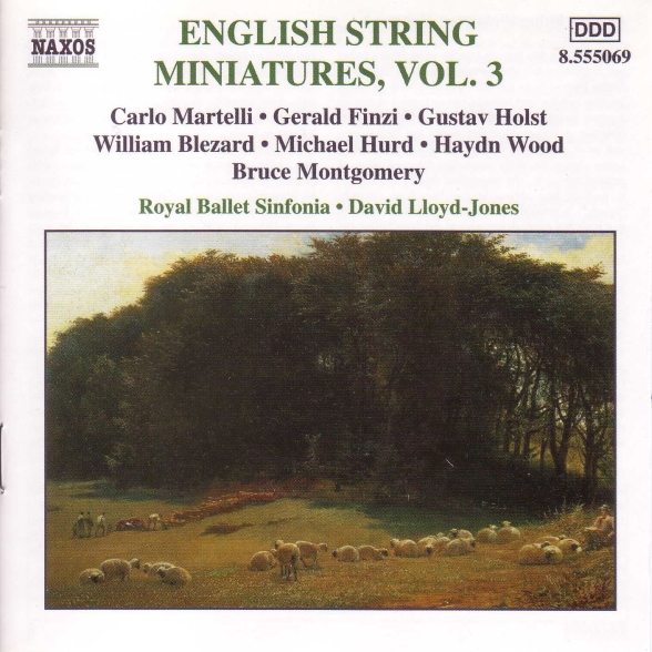 English String Miniatures, Vol. 3 - CD Foto #1