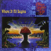 The Allman Brothers: Where It All Begins - Plak