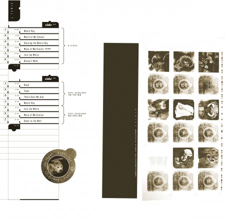 Pixies: Doolittle 25 (25th Anniversary Edition) - Plak