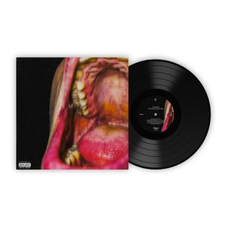 Kamufle: Tüm Suç Ritimlerin - Plak