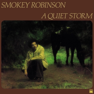 Smokey Robinson: A Quiet Storm - Plak