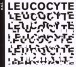 Leucocyte - CD