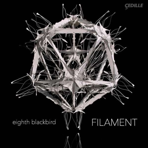 Bryce Dessner, Nico Muhly - Eighth Blackbird - Filament