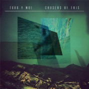 Toro Y Moi: Causers Of This - Plak