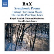 Bax: Symphonic Poems - CD