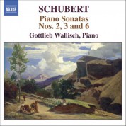 Schubert: Piano Sonatas Nos. 2, 3 and 6 - CD