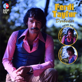Ferdi Tayfur: Derbeder (Picture Disc) - Plak